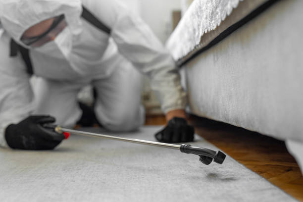 Professional Cockroach Control technician working in Andover, KS